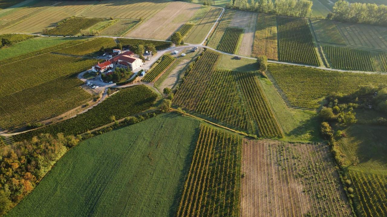 Posestvo Rouna - Winery And Apartments Vipava Esterno foto